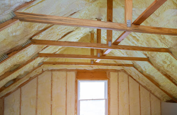 Best Geographic-Specific Insulation Services in Robie Creek, ID