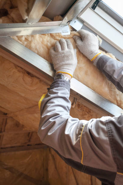 Best Residential Insulation in Robie Creek, ID