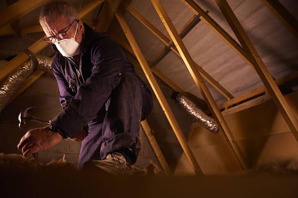 Best Cellulose Insulation in Robie Creek, ID